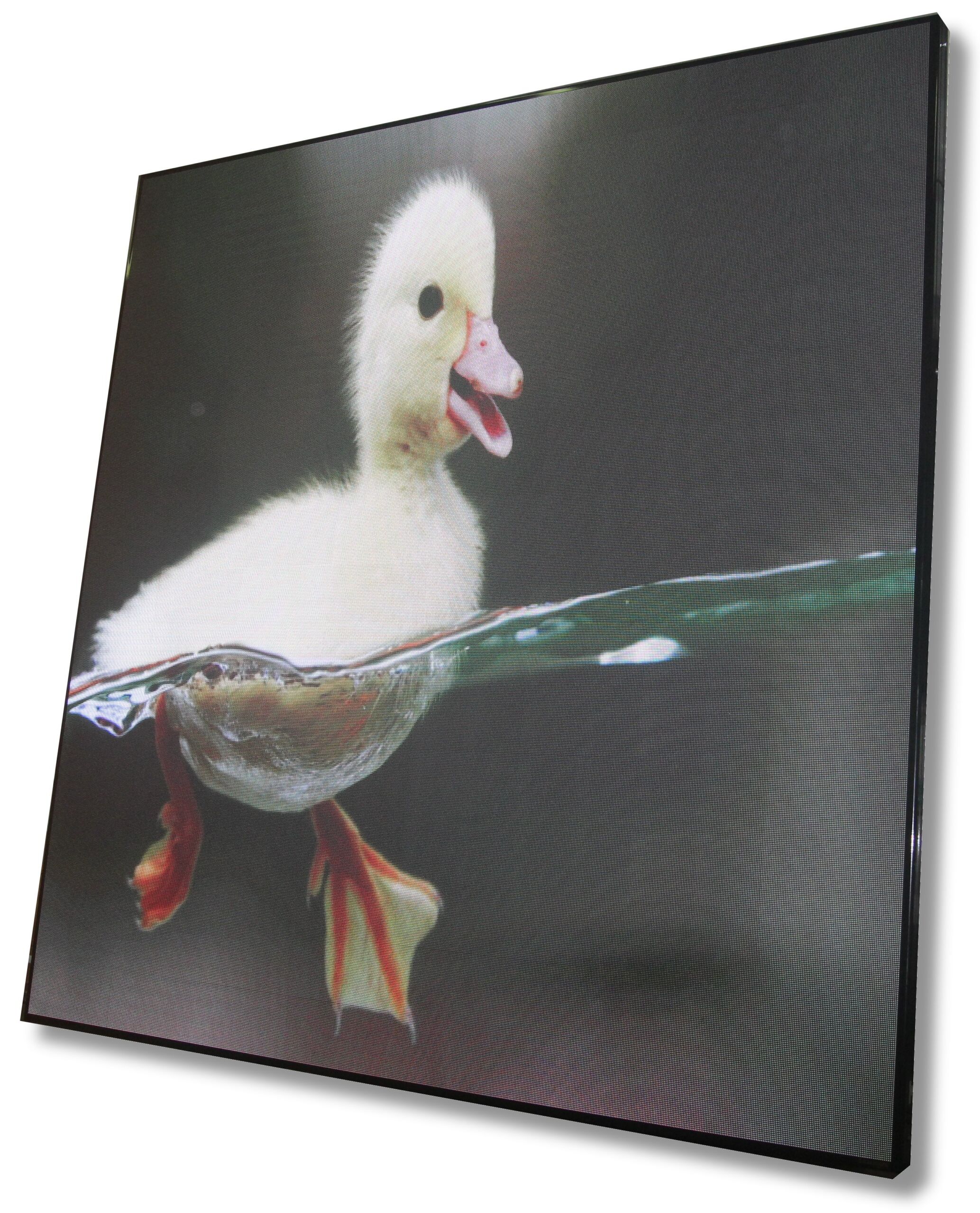 Grafico RGB 260x260 - immagine 3