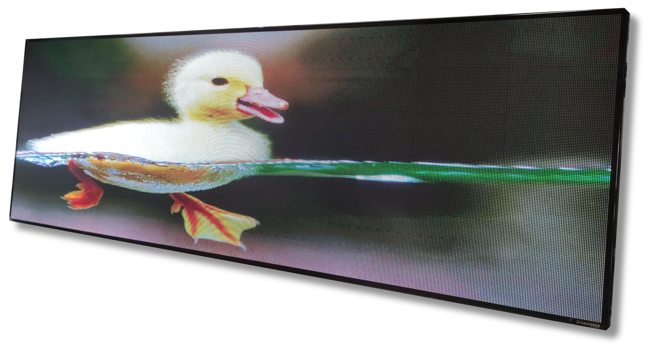 Grafico RGB 292x100 - immagine 2